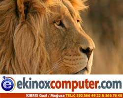 Mac OS X Mountain Lion Duvar Kağıtları
