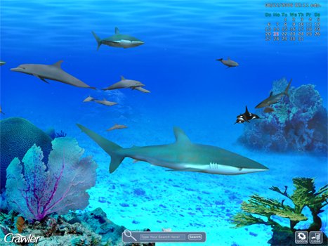 Marine Aquarium 3.0 Beta 10 – Bilgisayarınız için Masa Üstü Ekran Koruyucu
