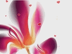 Pembe Güzel Çiçek – Ekran Koruyucu