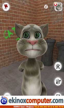 Talking Tom Cat 2 2