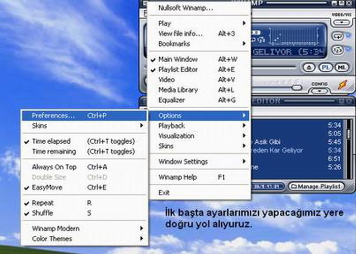 Winamp’da Radyo Dinlemek