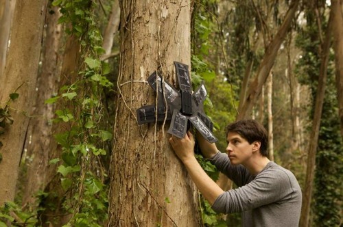 Rainforest Connection ekibinin çalışmasından bir kare