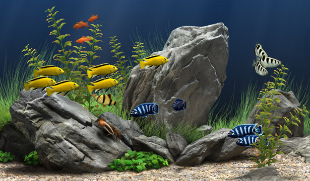 Dream Aquarium  v 1.097